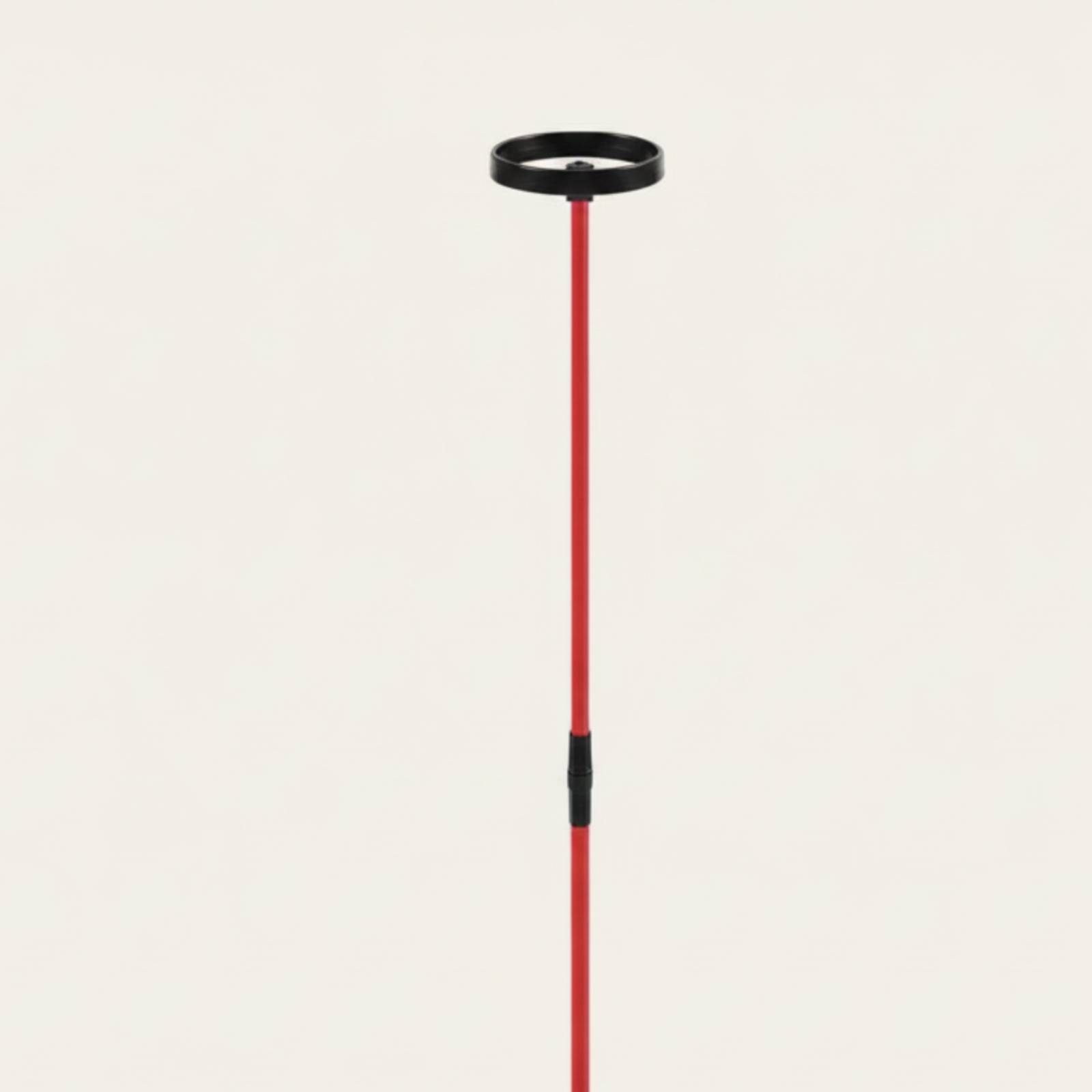 ヘッドスタビリティサークル付きゴルフトレーニング補助具 グラ - Training Aid Swing のレビューと価格